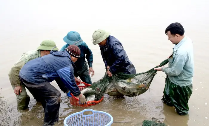 Xử Lý Khi Phát Hiện Bệnh