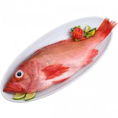 Cá Hồng Biển Tươi Nguyên Con, Giàu Dinh Dưỡng . 4-5 Kg/con Cá Hồng Biển Tươi Nguyên Con, Giàu Dinh Dưỡng . 4-5 Kg/con