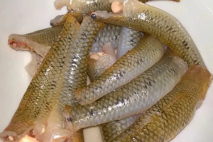 Cá Bống Sông Đà - 260k/kg