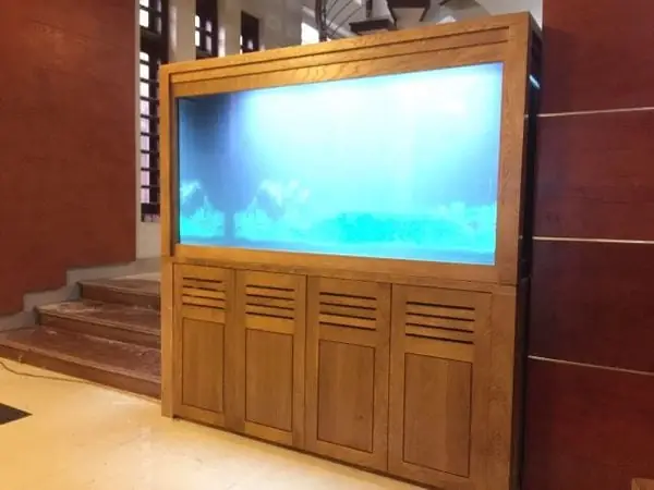 Lắp Đặt Bể Cá Rồng Tại Đông Anh