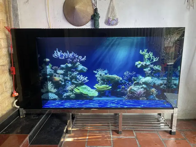 Tranh 3d Hồ Cá Dán Lên Bể Thực Tế - Bể Anh Nam Đông Anh Hà Nội ...