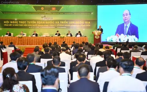 Ninh Bình: Chán Nuôi Cá Cảnh Chuyển Sang Nuôi Ốc Nhồi Đặc Sản ...