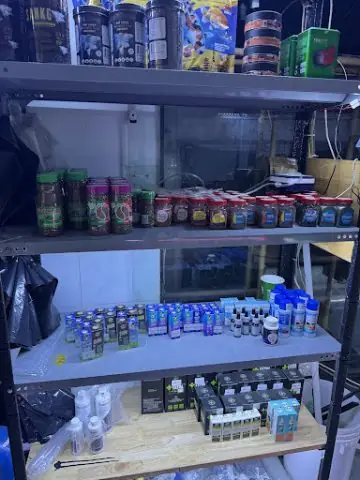 Khám Phá **cửa Hàng Cá Cảnh Q8 Aquarium Coffee Hồ Chí Minh ...