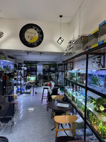 Cửa Hàng Cá Cảnh Q8 Aquarium Coffee
