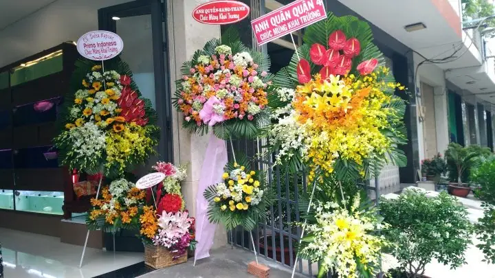 Khám Phá Tiệm Cá Cảnh Quận 9: Địa Chỉ Uy Tín Cho Đam Mê ...