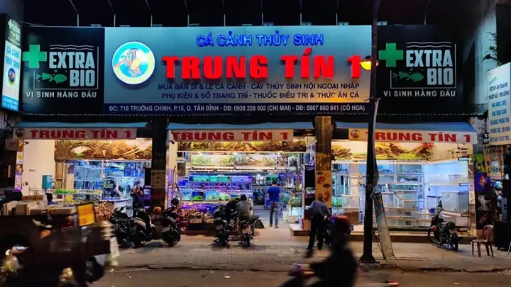 Tiệm Cá Cảnh Thuỷ Sinh Trung Tín Tiệm Cá Cảnh Thuỷ Sinh Trung Tín