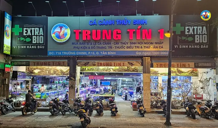 Cá Cảnh Thuỷ Sinh Trung Tín Địa Chỉ Ở Đâu, Cung Cấp Những Gì