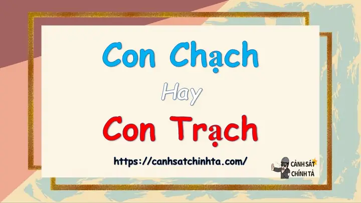 Con Chạch Hay Con Trạch Đúng Chỉnh Tả? Nghĩa Là Gì?