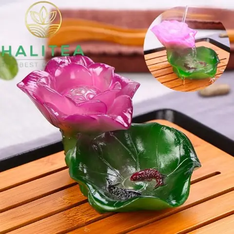 Bông Sen Cá Chép Đổi Màu Trang Trí Bàn Trà Bông Sen Cá Chép Đổi Màu Trang Trí Bàn Trà