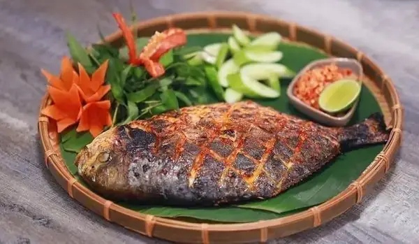 Đặc Điểm Hình Thái Khác Biệt Đặc Điểm Hình Thái Khác Biệt