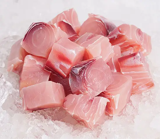 Cá Cờ | Cá Cờ Biển | Cá Cờ Kiếm