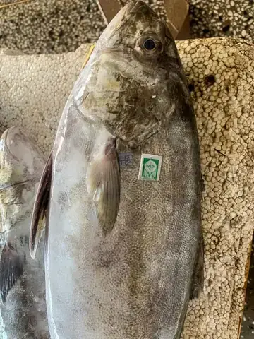 Chế Độ Ăn Đa Dạng Chế Độ Ăn Đa Dạng