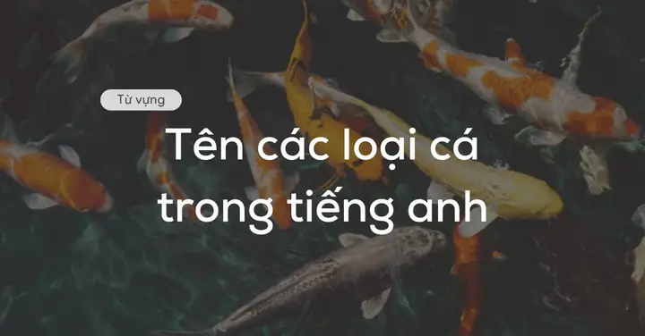 Tên Các Loại Hải Sản Bằng Tiếng Anh Đầy Đủ Và Chi Tiết
