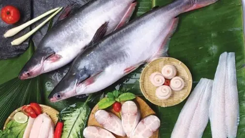 Cá Dứa Là Cá Gì? Cá Dứa Có Thực Sự Tốt Cho Sức Khỏe?