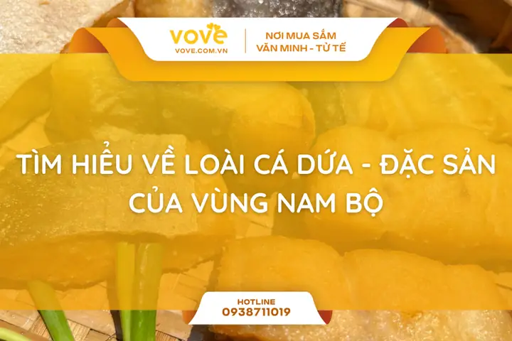 Tìm Hiểu Về Loài Cá Dứa - Đặc Sản Của Vùng Nam Bộ