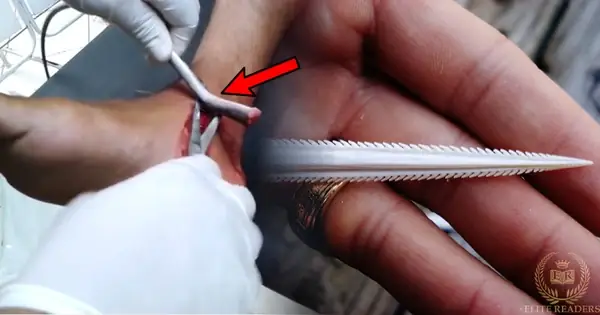 Gai Đuôi Cá Đuối - Vũ Khí Siêu Đáng Sợ Nhưng Ít Ai Biết Đến