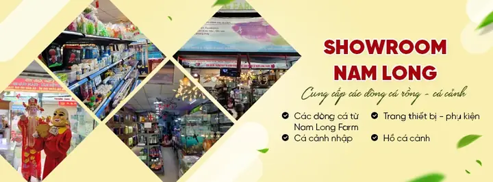 Cá Hồng Kì Phát Tài Cá Hồng Kì Phát Tài