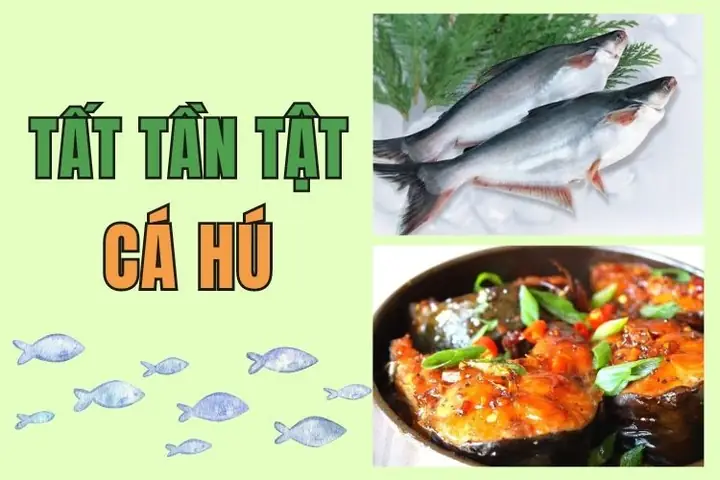 Cá Hú Là Cá Gì? Bật Mí Tất Tần Tật Về Loại Cá Này Cho Những Ai Chưa Biết