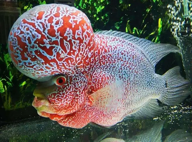 Tránh Ánh Sáng Mặt Trời Trực Tiếp