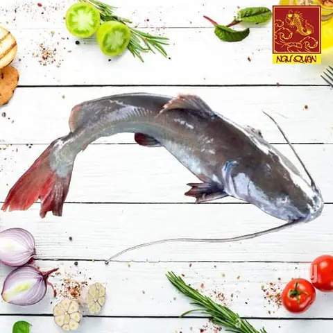 Cá Lăng Đuôi Đỏ - Nhà Hàng Ngư Quán Cá Lăng Đuôi Đỏ - Nhà Hàng Ngư Quán