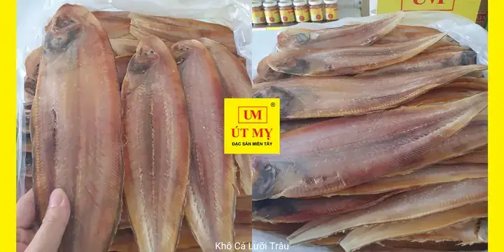 Cá Lưỡi Trâu Nước Ngọt: Sự Thật & Hướng Dẫn Nuôi Chi Tiết ... Cá Lưỡi Trâu Nước Ngọt: Sự Thật & Hướng Dẫn Nuôi Chi Tiết ...