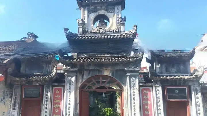 Khi Cá Mạnh Thì Người... Thua!