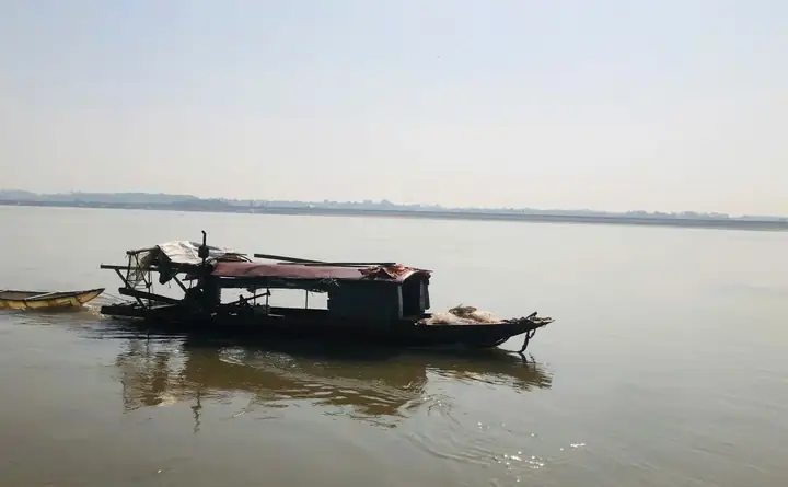 Khi Cá Mạnh Thì Người... Thua!