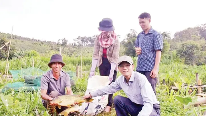 Khi Cá Mạnh Thì Người... Thua!