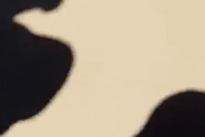 Xôn Xao Clip 'cá Mập Lên Bờ' Ở Biển Long Hải Khiến Người Dân Hiếu ... Xôn Xao Clip 'cá Mập Lên Bờ' Ở Biển Long Hải Khiến Người Dân Hiếu ...