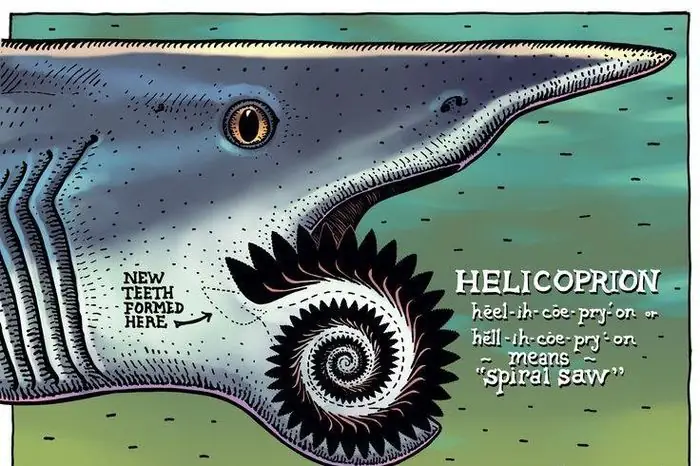 Soi Loài Cá Mập Có Bộ Răng Kinh Dị Nhất Từng Tồn Tại - Báo Tri Thức ... Soi Loài Cá Mập Có Bộ Răng Kinh Dị Nhất Từng Tồn Tại - Báo Tri Thức ...