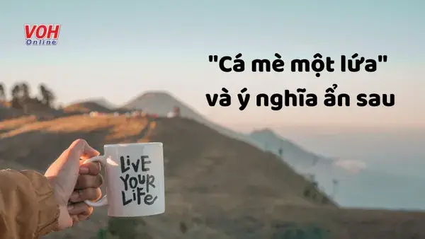 Giải Thích Ý Nghĩa Thành Ngữ 'cá Mè Một Lứa' Nói Đến Điều Gì?
