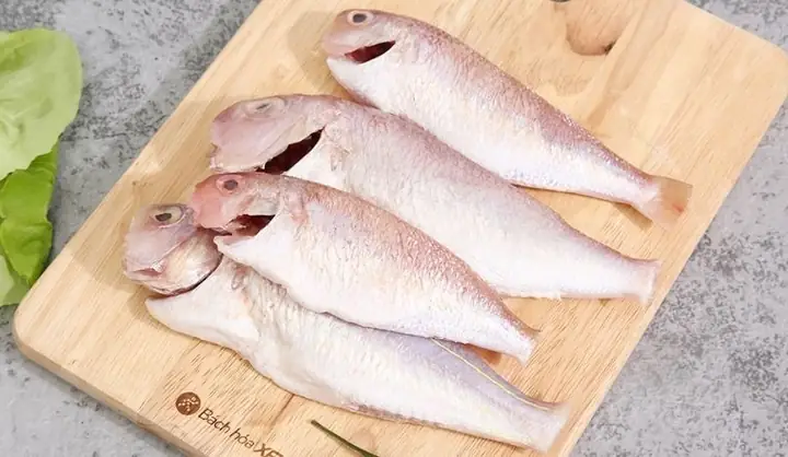 Cách Chọn Cá Hường Tươi Ngon, Không Sợ Mua Nhầm Cá Ươn