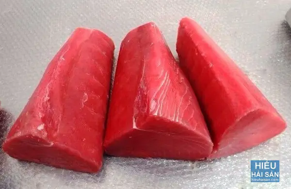 Hình Ảnh Từ Cá Ngừ Đại Dương