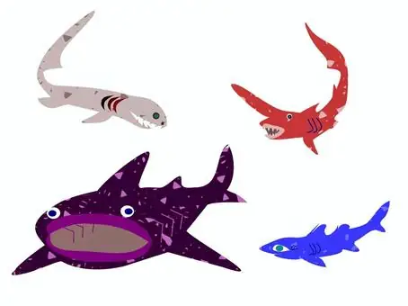 Cá Nhám Mang Xếp Vectors, Clipart & Illustrations For Free ...