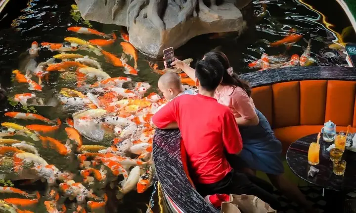 Rock King Coffee Koi