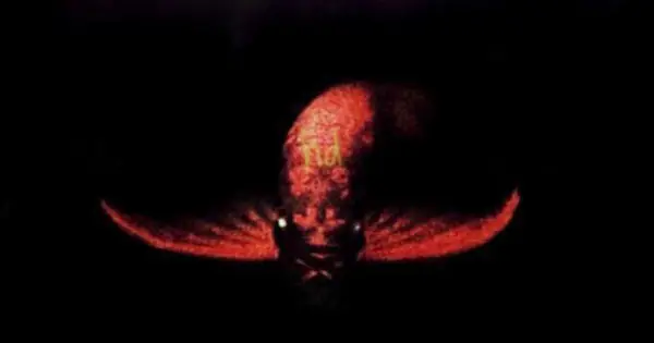 Cá Huyết Rồng Được Đại Gia Việt Săn Mua