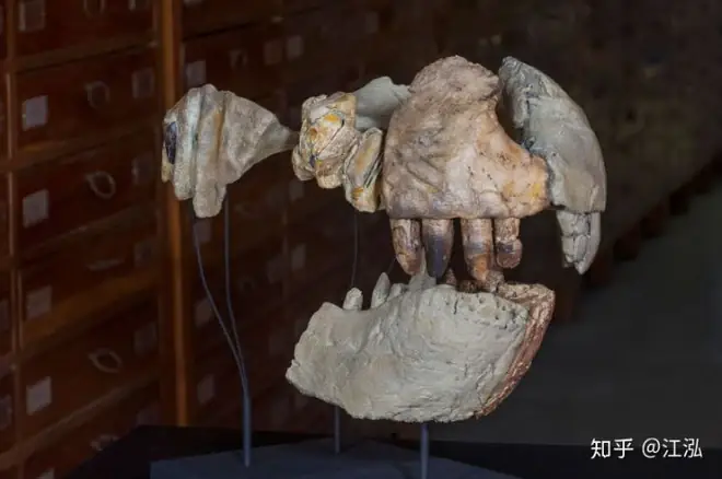 Cá Sấu Khổng Lồ Thời Tiền Sử Sở Hữu Thân Hình To Lớn Như Những Chiếc Xe Tải, Đi Theo Đó Là Những Đôi Chân Dài Cho Phép Chúng Chạy Nhanh Hơn Hậu Duệ Thời Hiện Đại Của Mình Gấp Nhiều Lần.