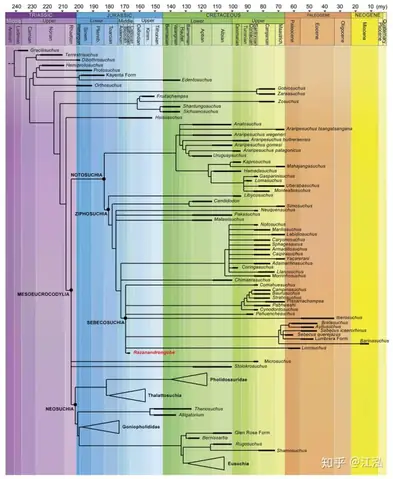 Cá Sấu Khổng Lồ Thời Tiền Sử Sở Hữu Thân Hình To Lớn Như Những Chiếc Xe Tải, Đi Theo Đó Là Những Đôi Chân Dài Cho Phép Chúng Chạy Nhanh Hơn Hậu Duệ Thời Hiện Đại Của Mình Gấp Nhiều Lần.
