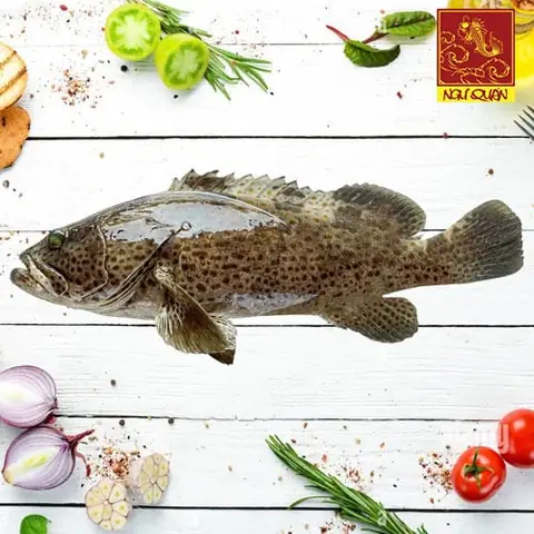 Cá Song (cá Mú) - Nhà Hàng Ngư Quán Cá Song (cá Mú) - Nhà Hàng Ngư Quán