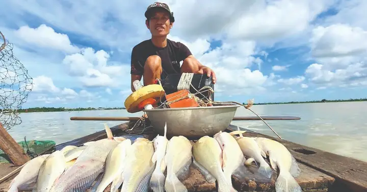 Săn Cá Sủ Sông Tiền