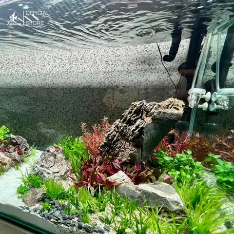 Tạo Không Gian Trú Ẩn Tạo Không Gian Trú Ẩn