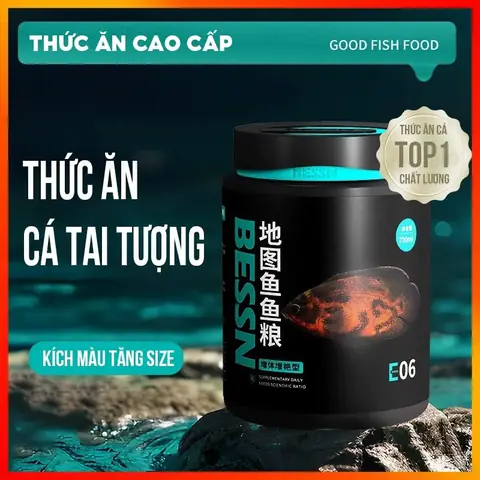 Cám Bessn Astronotus Thức Ăn Cho Cá Tai Tượng Châu Phi - King ... Cám Bessn Astronotus Thức Ăn Cho Cá Tai Tượng Châu Phi - King ...