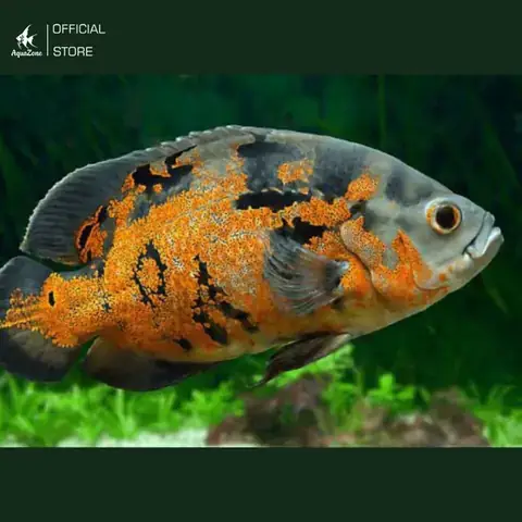 Điều Kiện Nguồn Nước Điều Kiện Nguồn Nước