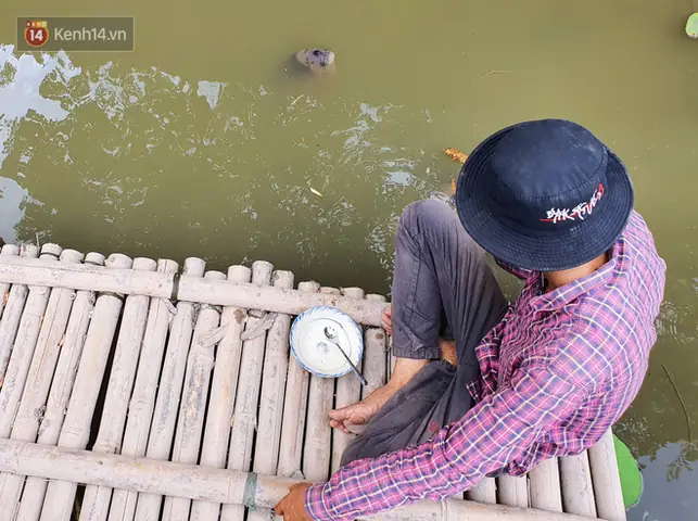 "cá Này Nó Cũng Giống Như Người Ta, Mỗi Con Ăn Cái Tính Khác Nhau. Con Thì Ăn Lanh, Chụp Giật, Con Thì Điềm Đạm, Như Con Này Nè", Anh Chiến Vừa Nói Vừa Đút Từng Muỗng Cơm Cho Đàn Cá Của Mình Ở Dưới Ao.