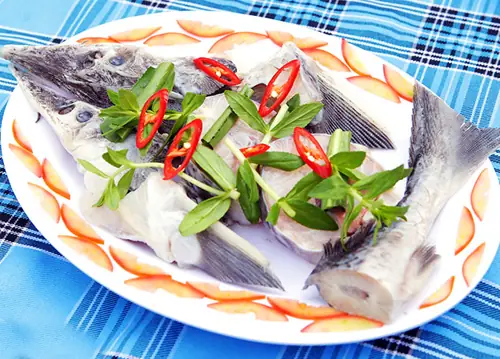 Giá Trị Dinh Dưỡng Từ Cá Tầm, Loài Cá Không Xương