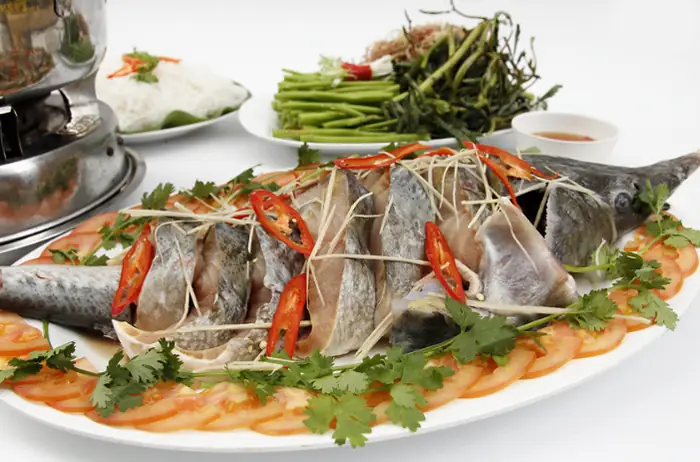 Cá Tầm Và Tác Dụng Tuyệt Vời Cho Sức Khỏe