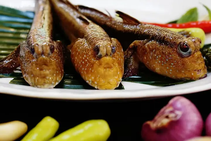 Cá Thòi Lòi Là Cá Gì? Top 8 Món Ăn Ngon, Hấp Dẫn Được Chế Biến Từ ...