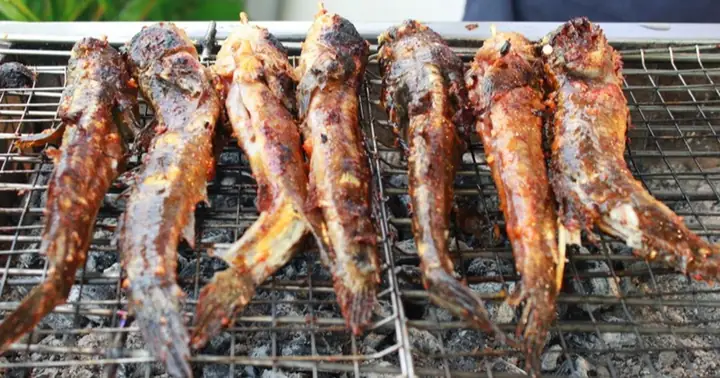 Đặc Sản Cá Thòi Lòi Ở Cà Mau