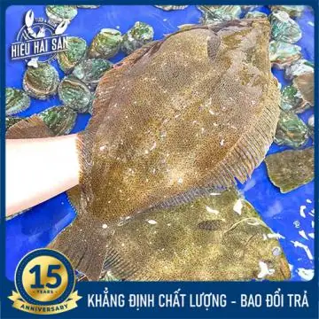 Cá Bơn Côn Đảo Hải Sản Tươi Sống Hỗ Trợ Giao Tại Khu Vực Nội ... Cá Bơn Côn Đảo Hải Sản Tươi Sống Hỗ Trợ Giao Tại Khu Vực Nội ...