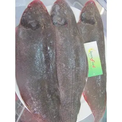 Cá Thờn Bơn - Hà Nội Cá Thờn Bơn - Hà Nội